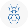 Ant Removals In Castleford