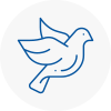 Bird Prevention Castleford