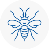 Castleford Hornet Nest Removals