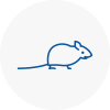 Mice Exterminators In Castleford