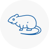 Rat Control Castleford