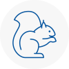 Castleford Rodent Removals