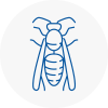 Castleford Wasp Nest Removal